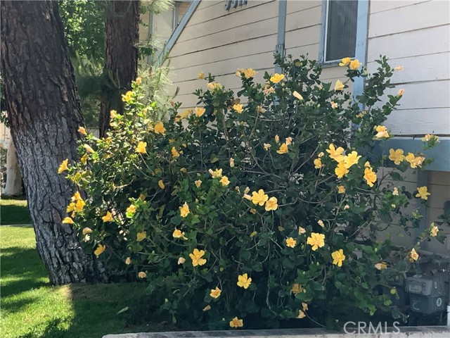 Detail Gallery Image 51 of 51 For 9917 Independence Ave #C,  Chatsworth,  CA 91311 - 2 Beds | 2 Baths