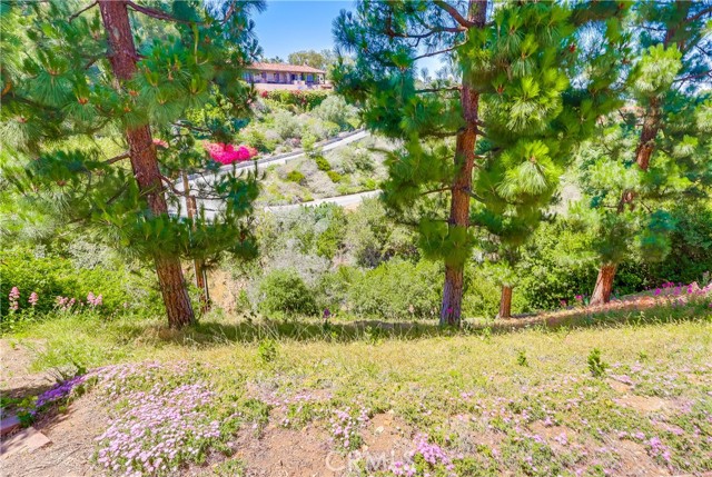 Detail Gallery Image 52 of 63 For 4329 via Frascati, Rancho Palos Verdes,  CA 90275 - 3 Beds | 3 Baths