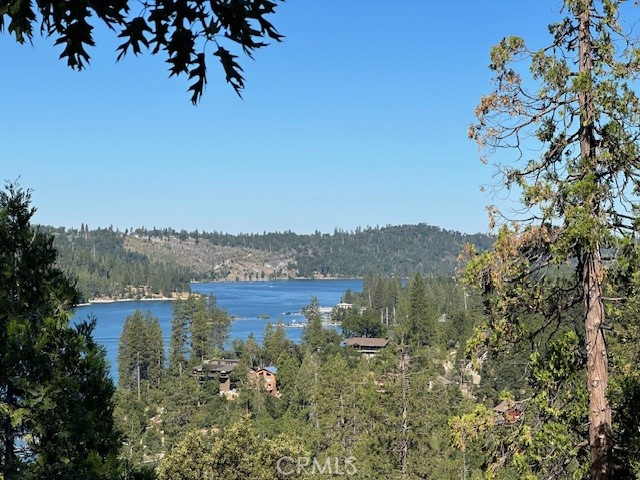 Detail Gallery Image 50 of 50 For Address Is Not Disclosed, Bass Lake,  CA 93604 - 4 Beds | 4 Baths