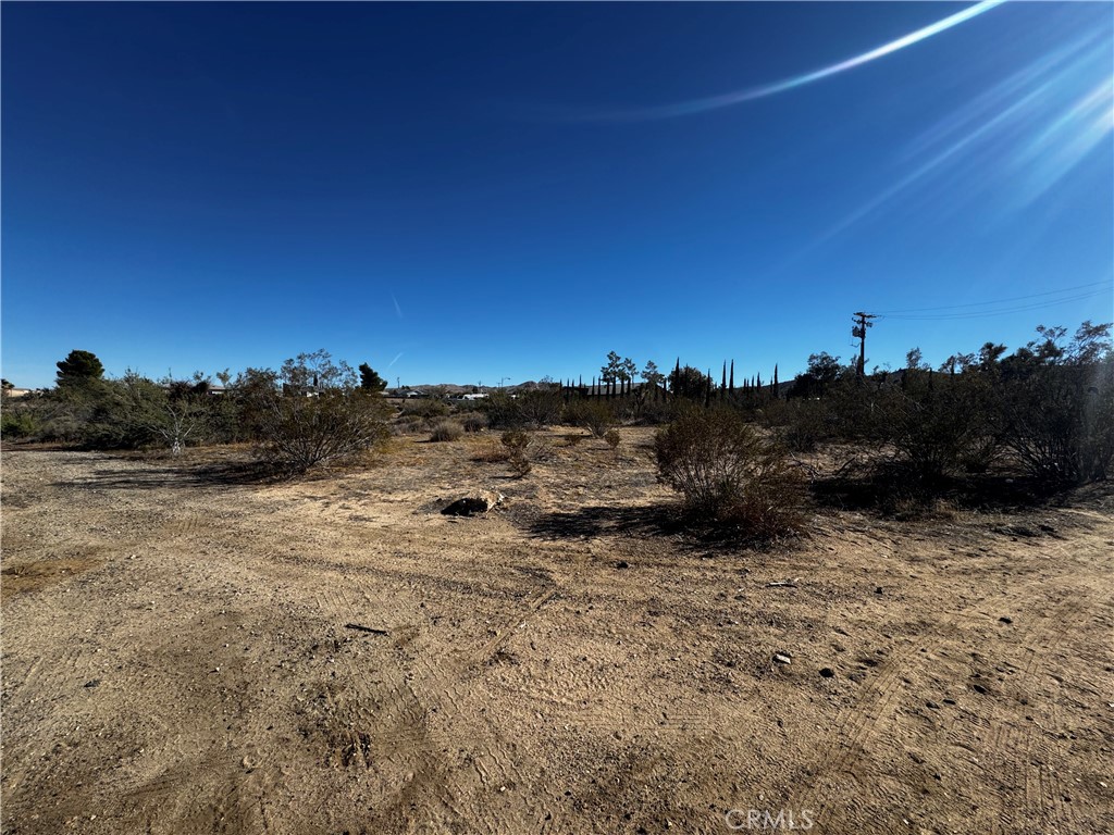 MLS #JT25257669 image #1