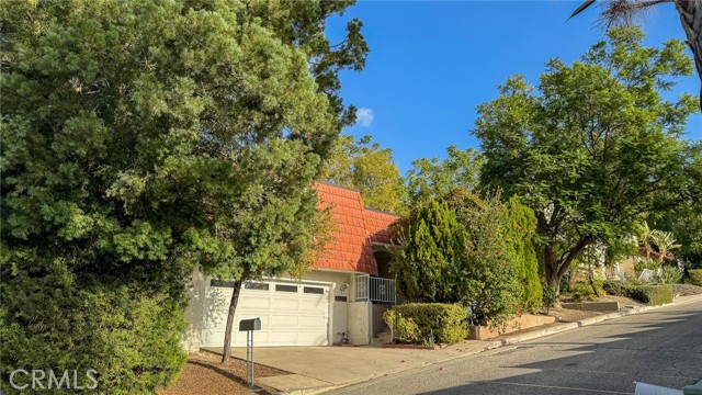 22762 Avenue San Luis photo 53