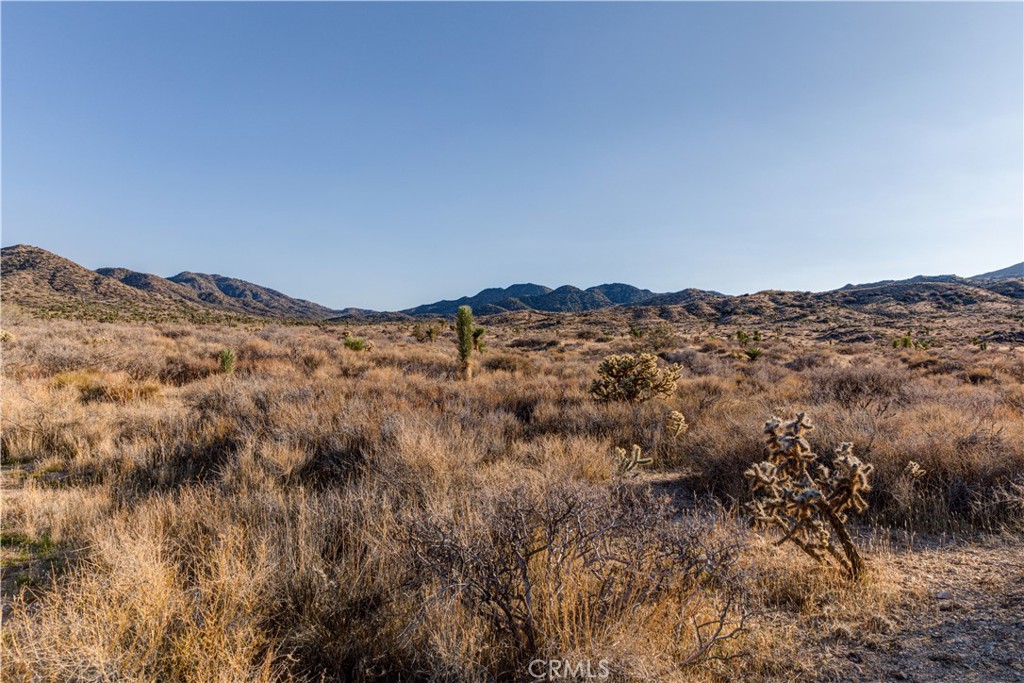 MLS #JT25229239 image #23