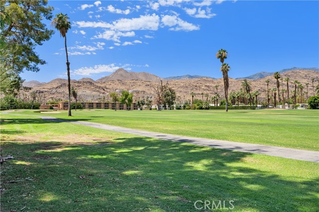 2423 Los Patos, Palm Springs CA: https://media.crmls.org/medias/722f5249-e17c-4923-b174-775f068378aa.jpg