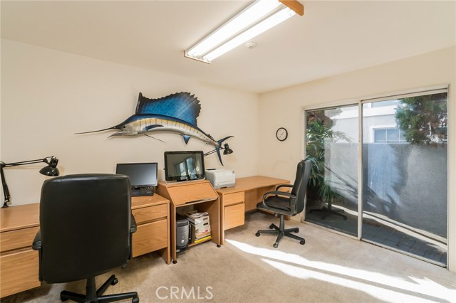 Downstairs office w/ fish!