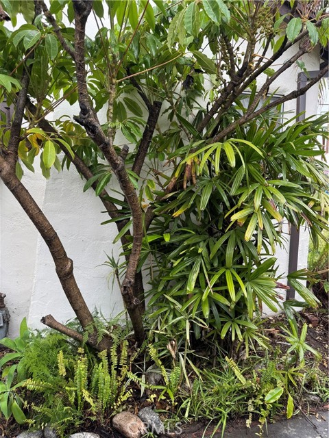 Detail Gallery Image 38 of 42 For 1960 Olive Way, Pasadena,  CA 91104 - 2 Beds | 1 Baths