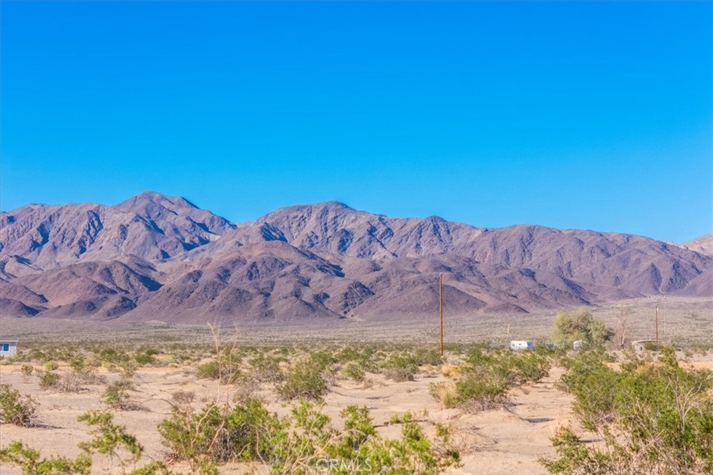 MLS #JT25233537 image #32