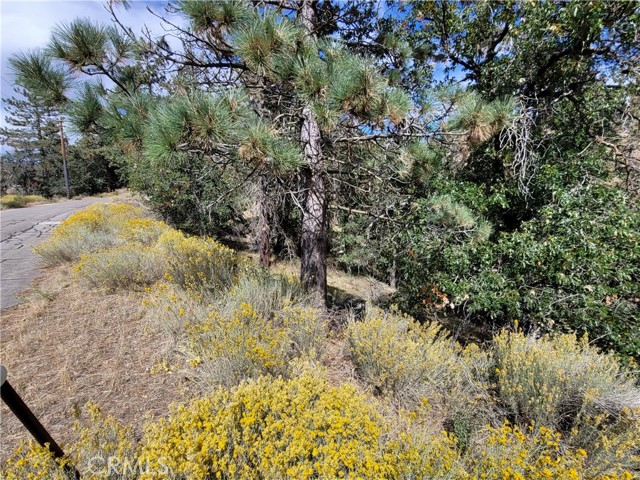 Detail Gallery Image 4 of 6 For 25840 Wilderness Way, Tehachapi,  CA 93561 - – Beds | – Baths