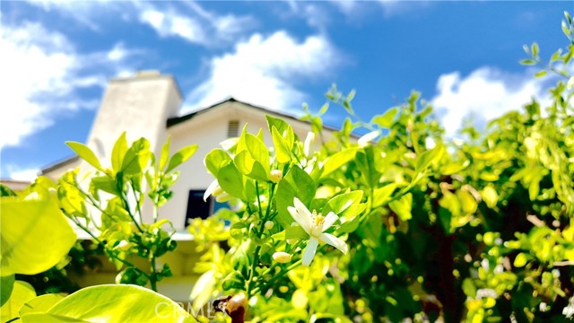 Detail Gallery Image 56 of 61 For 6 Skyline, Phillips Ranch,  CA 91766 - 4 Beds | 3 Baths