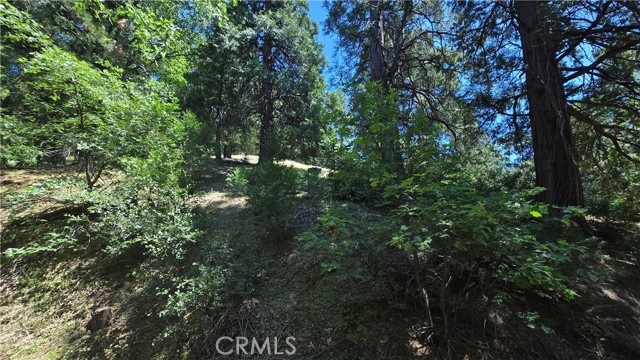 Front Image Thumbnail for CRIG26074836