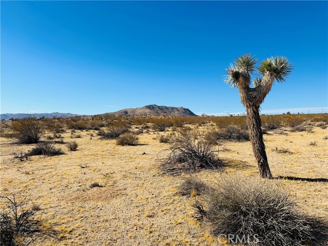 Detail Gallery Image 3 of 11 For 24 Avenida Del Sol, Joshua Tree,  CA 92252 - – Beds | – Baths