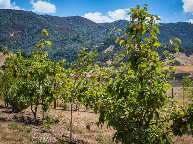 Detail Gallery Image 36 of 46 For 1720 E. Highway 20, Upper Lake,  CA 95485 - 3 Beds | 1 Baths