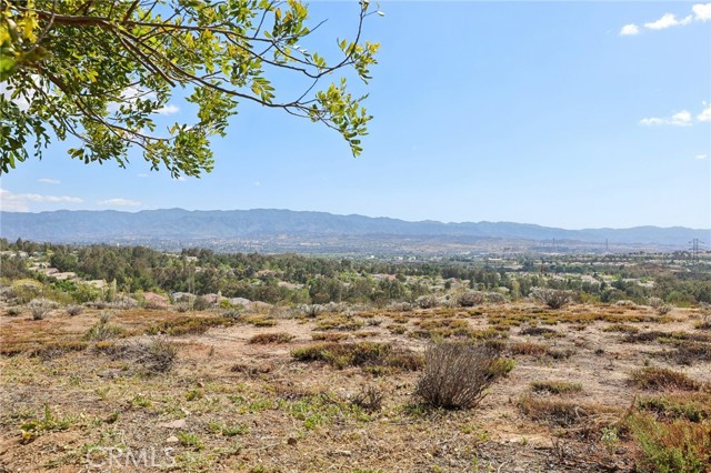 Detail Gallery Image 41 of 47 For 27959 Palmetto Ridge Dr, Valencia,  CA 91354 - 4 Beds | 2/1 Baths