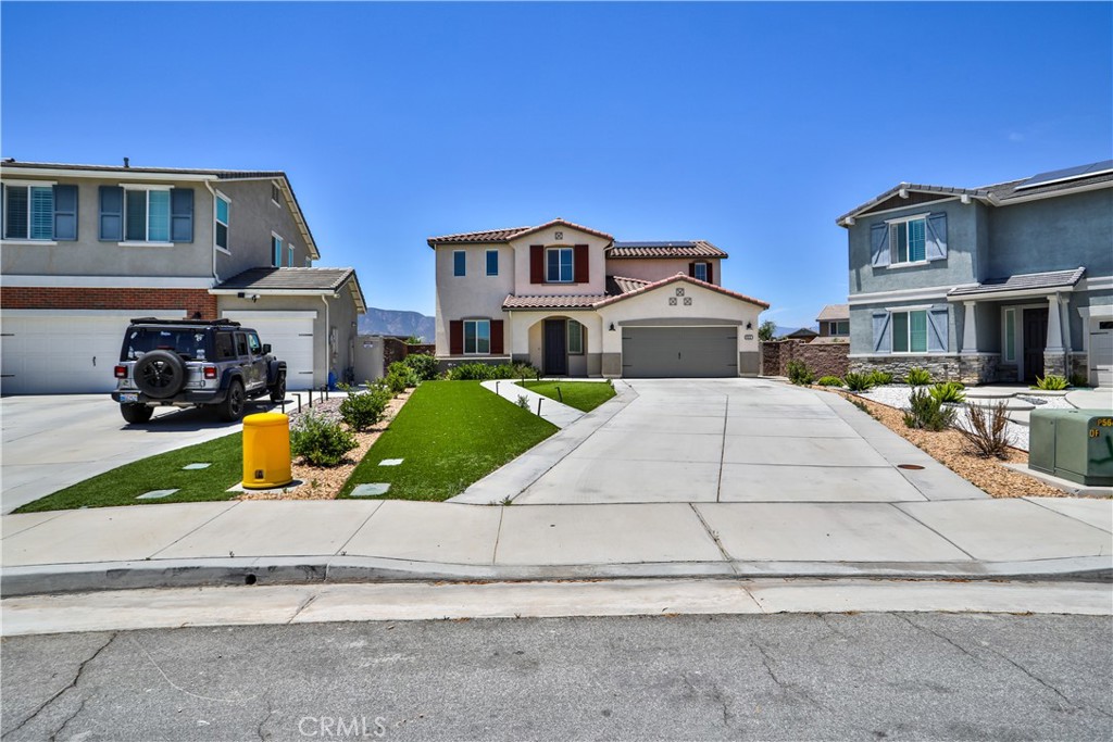 29131 Brittbush