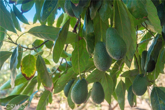 Detail Gallery Image 3 of 34 For 8 via Horca, Temecula,  CA 92590 - – Beds | – Baths