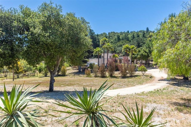 1410 & 1418 Verde Canyon Road, Arroyo Grande CA: https://media.crmls.org/medias/724eed7b-3d77-4e55-ac24-deb43ff407f7.jpg