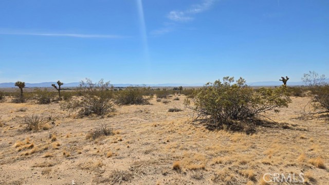 Image 10 of 21 For 0 147th St E Vicinity Capleton D