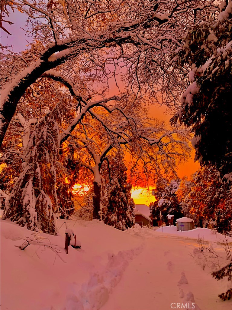 https://media.crmls.org/medias/725bf0b9-749f-4260-b934-9c1780a87500.jpg?preset=X-Large