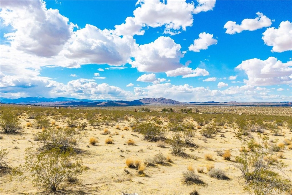 MLS #JT25078199 image #14