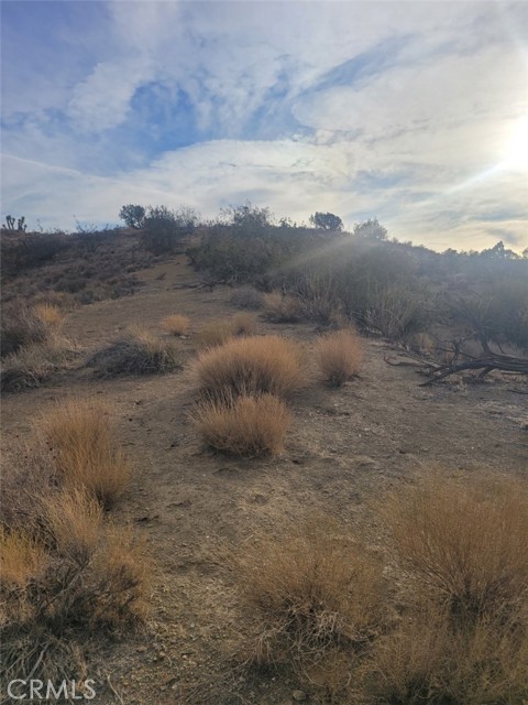 Detail Gallery Image 2 of 10 For 0 Vac/Ca Aqueduct/Pearblossom, Palmdale,  CA 93550 - – Beds | – Baths