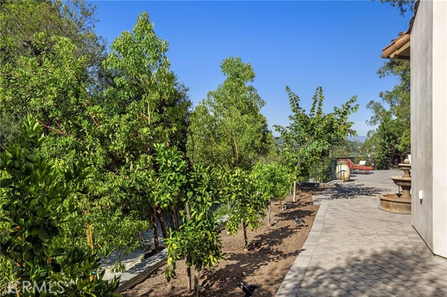 31527 Aguacate Road, San Juan Capistrano CA: https://media.crmls.org/medias/7276a482-37f2-4fed-9102-213ba9738ffb.jpg
