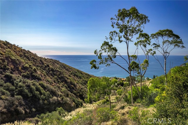 Detail Gallery Image 42 of 53 For 685 Nyes Pl, Laguna Beach,  CA 92651 - 3 Beds | 2/1 Baths