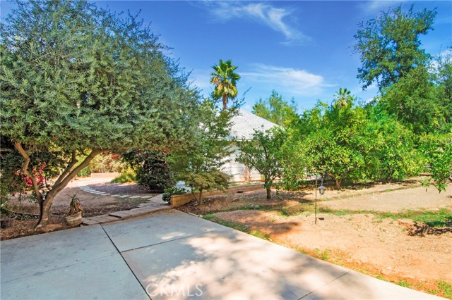 Detail Gallery Image 61 of 75 For 560 Terracina Bld, Redlands,  CA 92373 - 4 Beds | 4/1 Baths