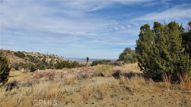 MLS #SR25242278 image #44