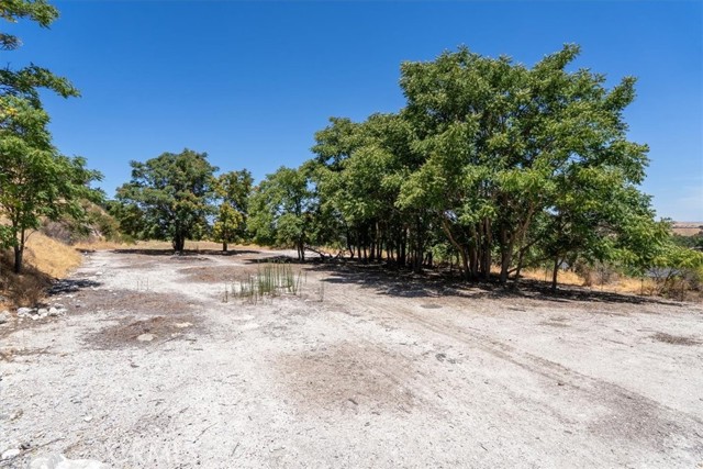 0 Vine Street, Paso Robles CA: https://media.crmls.org/medias/7281d0b1-37e6-4d3c-ad08-b1dca975a255.jpg