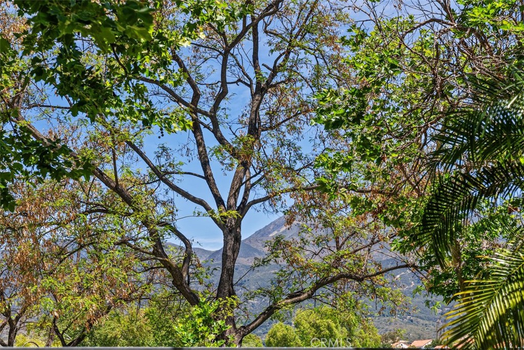https://media.crmls.org/medias/728b6bf4-1cbf-4ea4-8cd6-63f1c2d053e9.jpg?preset=X-Large