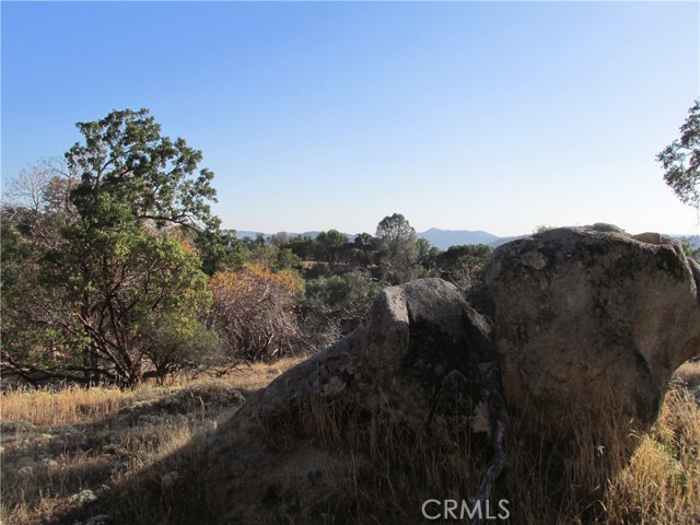 Detail Gallery Image 22 of 54 For 2 Ac Old Oaks Ct, North Fork,  CA 93643 - – Beds | – Baths