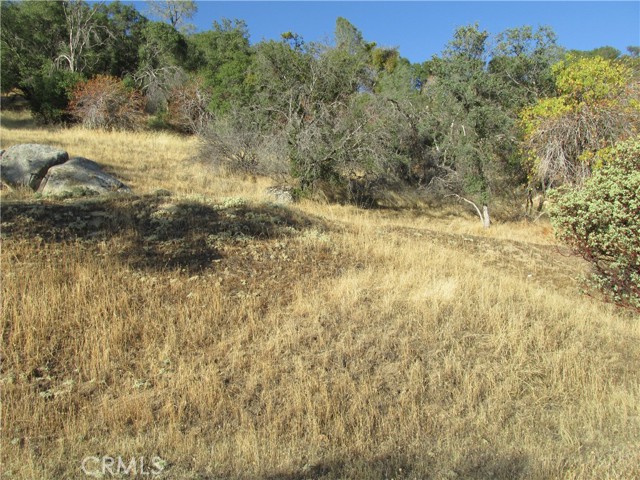 Detail Gallery Image 51 of 54 For 2 Ac Old Oaks Ct, North Fork,  CA 93643 - – Beds | – Baths