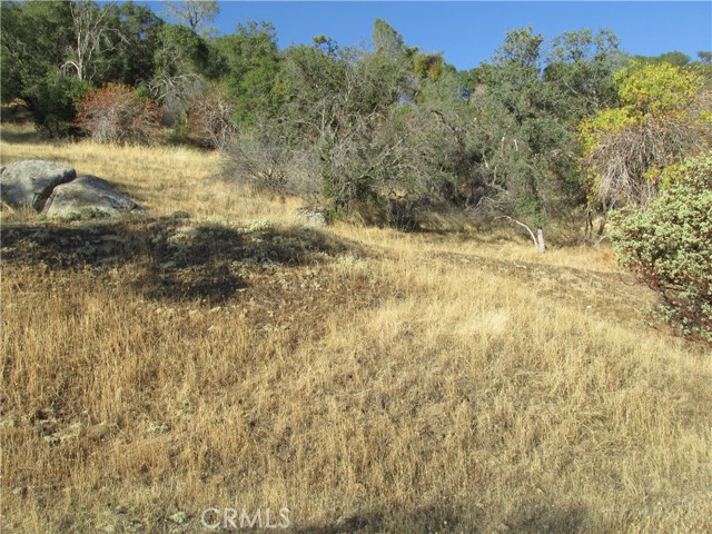 2 Old Oaks Court, North Fork, California 93643, ,Land,For Sale,2 Old Oaks Court,CRFR23180860