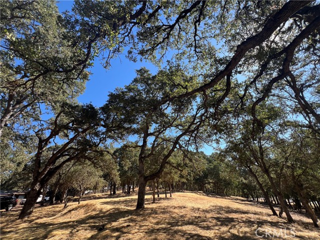 Detail Gallery Image 6 of 11 For 6060 Old Highway 53, Clearlake,  CA 95422 - – Beds | – Baths