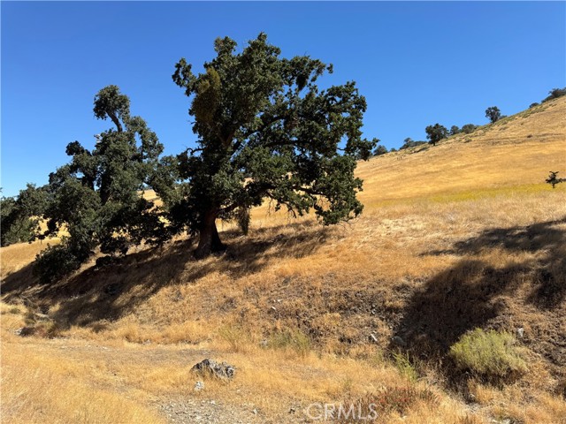 Detail Gallery Image 3 of 17 For 0 Arosa Rd, Tehachapi,  CA 93561 - – Beds | – Baths