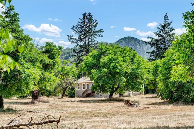 Detail Gallery Image 6 of 38 For 22550 Shady Grove Rd, Middletown,  CA 95461 - 2 Beds | 1 Baths