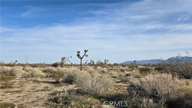 Detail Gallery Image 8 of 21 For 0 115th St East S/O Ave S, Littlerock,  CA 93543 - – Beds | – Baths