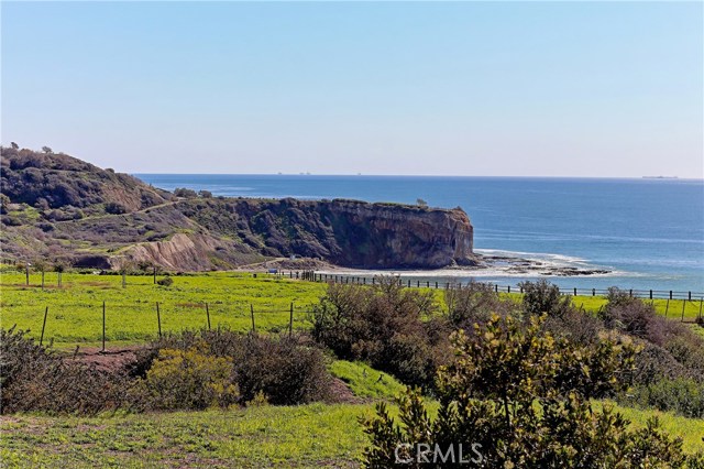 View from Terranea