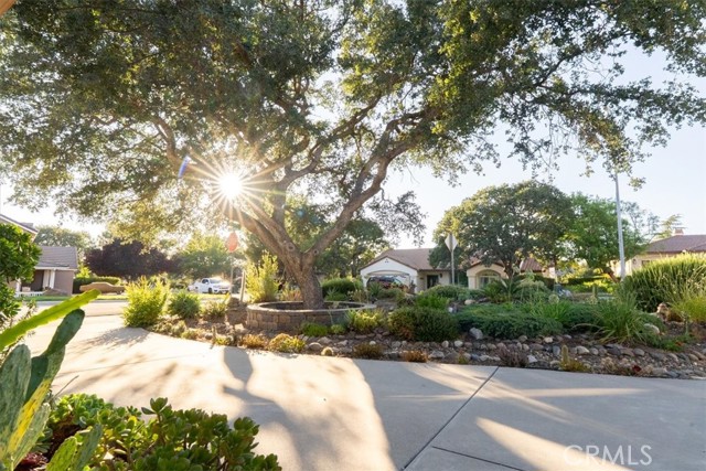 Detail Gallery Image 8 of 46 For 518 Grand Canyon Dr, Paso Robles,  CA 93446 - 3 Beds | 2/1 Baths