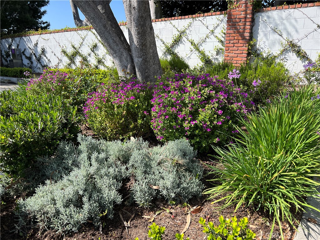 MLS #OC25239987 image #57