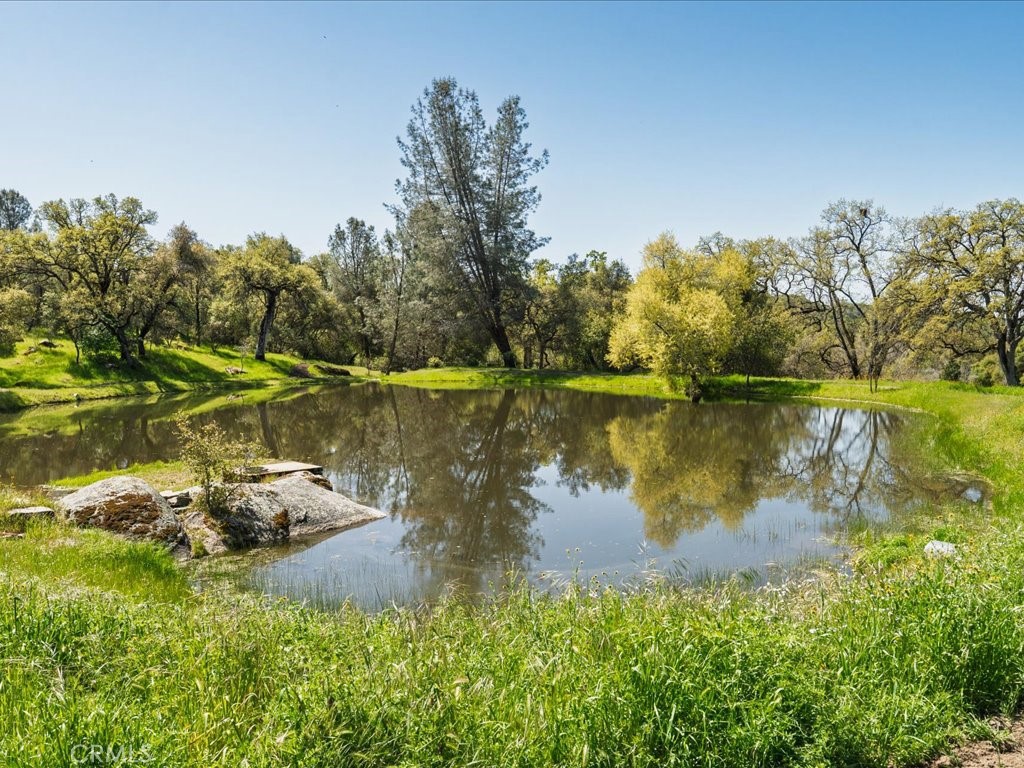MLS #MP25073835 image #3
