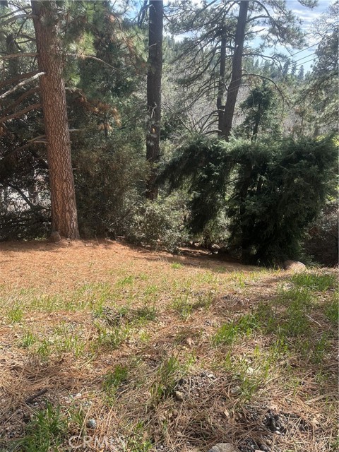 Detail Gallery Image 2 of 2 For 0 Fern Canyon, Cedarpines Park,  CA 92322 - – Beds | – Baths