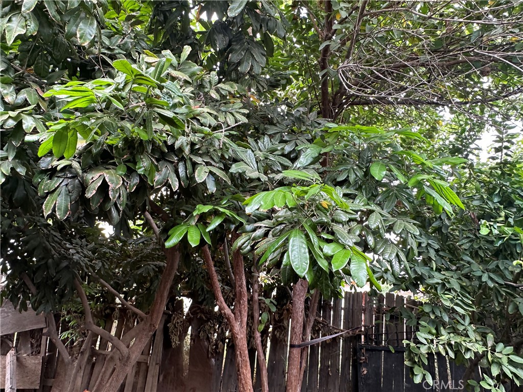 https://media.crmls.org/medias/72b79142-9f13-498a-a517-60d6a73d37b8.jpg?preset=X-Large