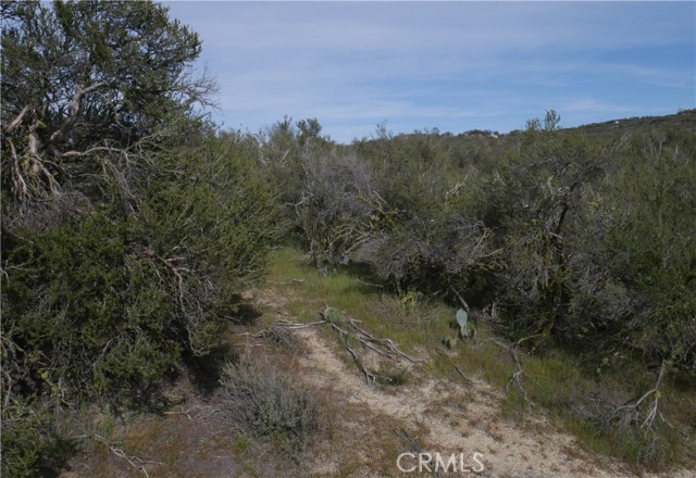 0 Hwy 371, Anza, California 92539, ,Land,For Sale,0 Hwy 371,CRSW23054275