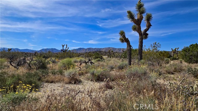 Detail Gallery Image 28 of 49 For 0 103rd St East Vicinity W14, –,  CA 93543 - – Beds | – Baths