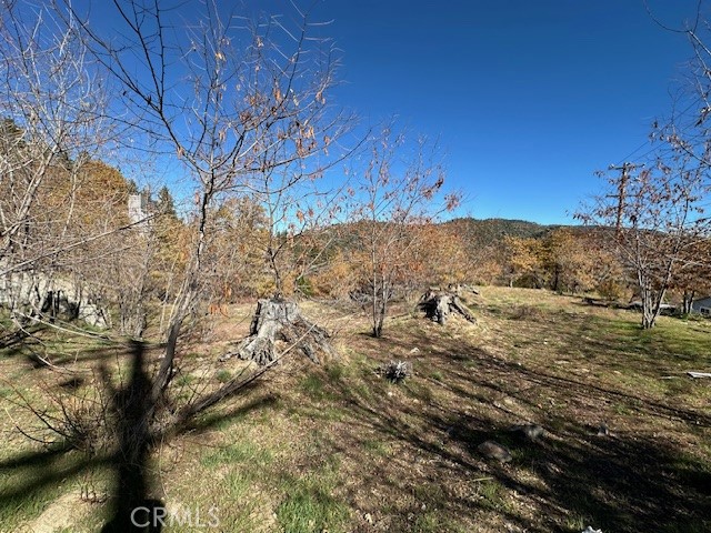 Detail Gallery Image 11 of 31 For 2379 Chicago Dr, Running Springs,  CA 92382 - – Beds | – Baths