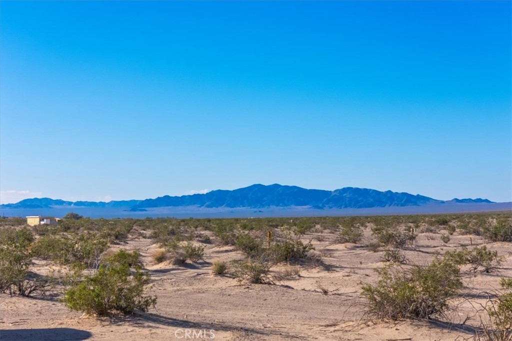 MLS #JT25233537 image #33