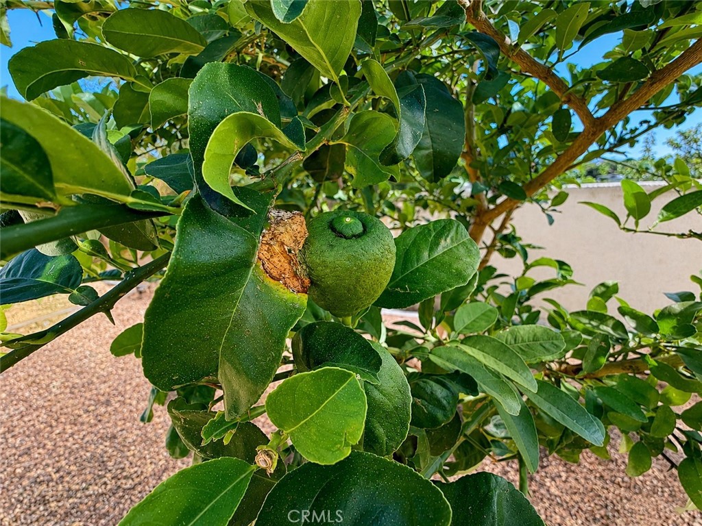 https://media.crmls.org/medias/72d5822b-ad80-4614-a85b-50d7d55831b1.jpg?preset=X-Large