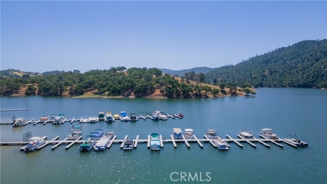 4970 Pretty Doe Lane, Paso Robles, California 93446, ,Land,For Sale,4970 Pretty Doe Lane,CRNS24201153