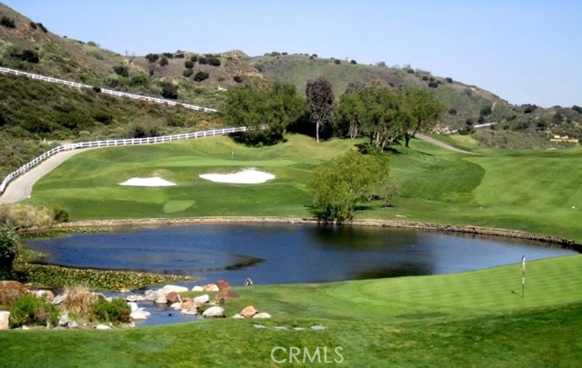 4332 WILD GINGER Circle, Yorba Linda CA: https://media.crmls.org/medias/72db65cc-5f2f-43e7-887f-c3de9f6258d8.jpg