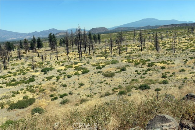 Detail Gallery Image 4 of 14 For 0 Juniper Valley, Weed,  CA 96094 - – Beds | – Baths